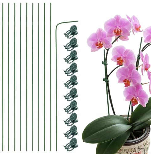 Nogeqi Lot de 10 tiges d'orchidées flexibles avec 10 clips pour plantes pour l'intérieur et l'extérieur (30 cm)