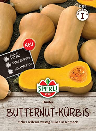 Sperli Butternutkürbissamen Hunter, F1 81334 - sicher reifend - nussig süßer Geschmack - Inhalt für 8 Pflanzen - Gemüsesamen, Samen Gemüse, Saatgut