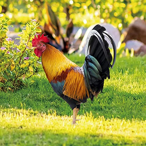 NOZEM Gartenstecker Frühling Deko Gartendeko Figuren Ornament Draußen Gartendekorationen Doppelseitiger Druck Simulierte Huhn Gartenfiguren Outdoor Dekoration (B, One Size)