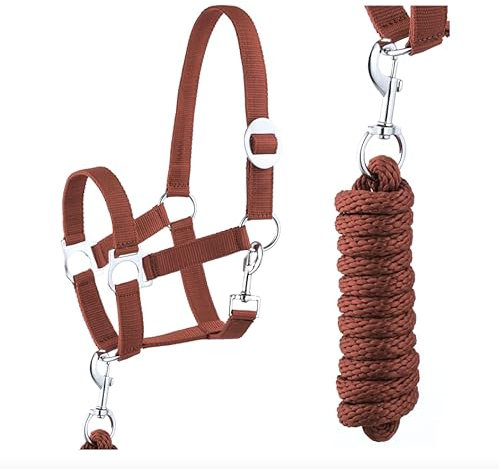 Halfter Führstrick Set mit Karabinerhaken verstellbar Pferdehalfter Pferd Holzpferd Anbindestrick (Karabinerhaken Hellbraun, Shetty)