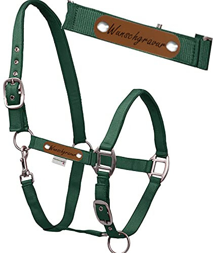 LiLa-Pferd Waldhausen Halfter Satin tannengrün - mit Namensschild - 2fach verstellbar, unterlegt (SH)