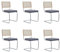 EGOONM 6er Set Moderne Esszimmerstühle Mitte des Jahrhunderts, Gepolsterte Küchenstühle mit Rattan-Rückenlehne für Zuhause, Schlafzimmer, Küche, Wohnzimmer (Holland Samt - Grau)