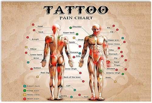 Blechschilder Tattoo Pain Chart Tätowierer-Wissen Eisenmalerei Generisch Kunst Wand Plakette Retro Wanddekoration Für Badezimmer, Garten, Café 30x40cm