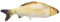 FELTECHELECTR Wohnkultur riesiges Kuscheltier Fisch Stofftier Zuhause+ Käferspielzeug Plüschtier Fisch-Wurfskissen Fisch Kissen dekorative Kissen Gesalzener Fisch Karpfen