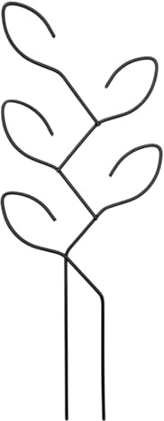 Trellis pour D'intérieur - Grille pour De Jardin Rampantes, Structure Durable pour Les D'Appartement comme Le Lierre De Légumes Et Les Fleurs
