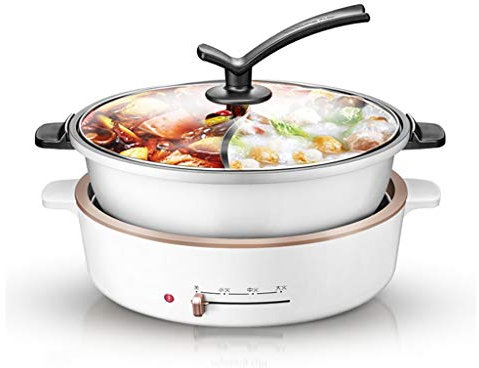 Hot Pot Olla Caliente eléctrica 5 litros 1300W, limas Ajustables para Shabu Shabu, Olla Caliente con Tapa divisoria y Vidrio y Fideos para cocinar