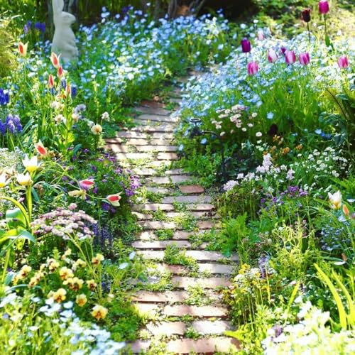 500 pcs wildblumensamen mehrjährig winterhart samen hochbeet balkon blumenwiese samen mehrjährig winterhart danke geschenk indoor garten dekoration wohnzimmer bienen wiese bienenwiese