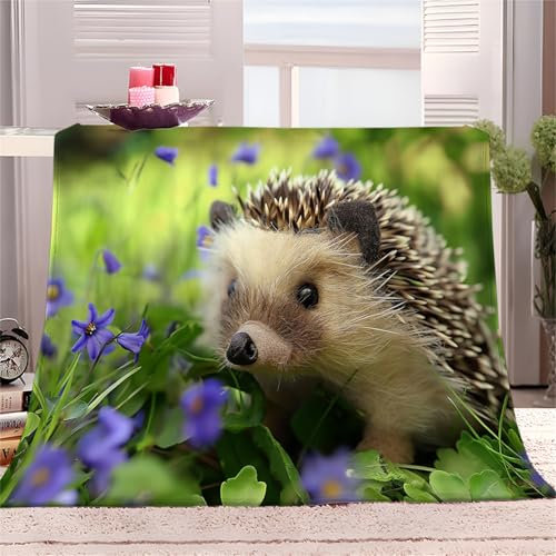 Flauschige Kuscheldecke Couch Decke L 70x100cm SüßEr Tierischer Igel Fleecedecke Tagesdecke - Leichte Ganzjahresdecke, Multi Decken für Sofa Bett, Weiche Decke Für Kinder Erwachsene