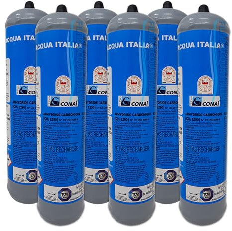 6 Bombole Usa e Getta Co2 per Erogatori Acqua Frizzante 600 g E290