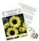Farbenfrohe Sonnenblumen Samen mit hoher Keimrate - Blumensamen für einen bunten & bienenfreundlichen Garten (20 Korn Limonengelb)