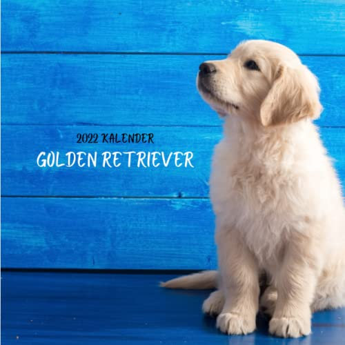 Golden Retriever 2022 Kalender: Wandkalender 2022 für Tierliebhaber - 8.5x8.5 inches - Geschenke für Familie und Freunde - tiere lustig