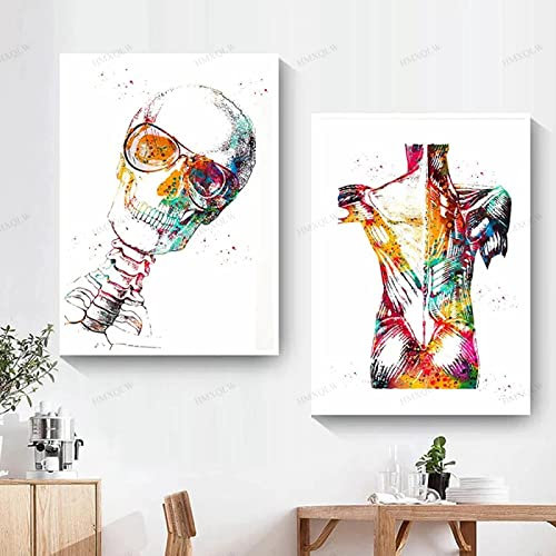 HMXQLW Anatomie Wandbilder Mensch Muskel Aquarell Skelett Bilder kunstdrucke Klinik Deko,Leinwandbilder Poster und Drucke Wandkunst Rahmenlos (2X60x90cm,2)