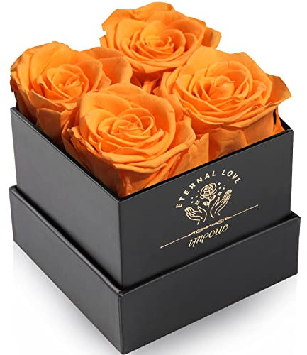 Impouo Preserved Roses