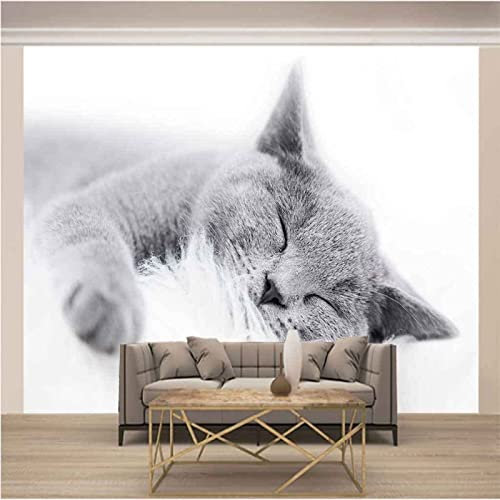 Tapete 3D Wandbild Katzen Tiere Fototapete 3D Effekt Vliestapete Wohnzimmer Schlafzimmer Wanddeko