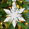 2024 Annual Edition Ornament, Nashar Limited Edition Kristall Schneeflocke Anhänger für geliebte Menschen (klar)