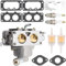 ZAMDOE 791230 Vergaser ersatz für Briggs & Stratton 799230 796227 699709 499804 20 PS 21 PS 23 PS 24 PS 25 PS intek V-Twin 4-Takt-Motoren, mit Montagedichtungen Kraftstofffilter