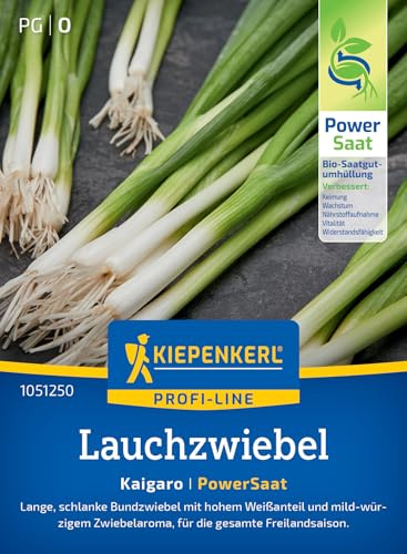 Kiepenkerl Lauchzwiebelsamen Kaigaro 1051250, Gemüsesaat | Gemüsesamen für lange und schlanke Bundzwiebeln, Wuchshöhe 30-40 cm, aromatisch