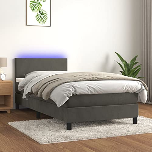 Iiaky Boxspringbett 100x200 mit Matratze & LED Polsterbett mit Matratze und Topper Doppelbett Bettrahmen Lattenrost Bett für Schlafzimmer Gepolstertes Kopfteil-Dunkelgrau-100 x 200 cm-Typ 1