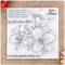 KWELLAM Blumen This Too Shall Pass transparente Stempel für Kartengestaltung, Dekoration und DIY Scrapbooking