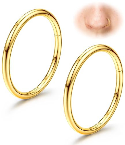 Diamday G23 Titan Nasenringe Hoops 20G 18G 16G Nahtlose Scharnierringe für Nasenpiercings Hypoallergene Klick-Septringe Helix-Ringe Lippenpiercings Daith Conch Tragus Rook Bauchnabel Gold/Silber