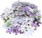 Vaguelly 1000-Teiliges Set Puzzle Lavendel