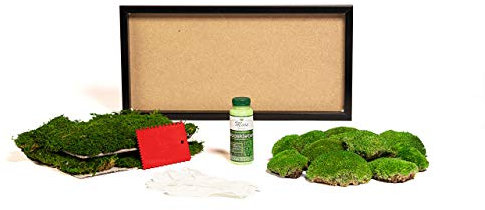 DIY Moosbild selber machen, Wandbilder, Moosbilder selbst gestalten Do it yourself Set selbst herstellen Komplett-Set Holzrahmen (schwarz, 60 x 30 cm)