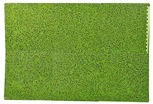 Kids Indoor/Outdoor EVA Foam Soft Jigsaw Puzzle Playmat Green Grass Sheet Design (12 Pcs (40 x 40cm))