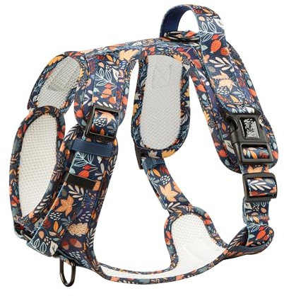 Hunde-Griffgeschirr Neopren | Arizona Hotdogs Griffgeschirr Fall in Love| Buntes Blattmuster (M)