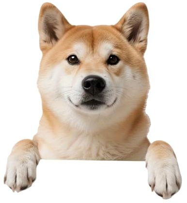 Wasserdichter Shiba Inu Hunde-Auto-Aufkleber 14 cm, Glänzend Vinyl Stoßstangen-Aufkleber Langlebige Kratzabdeckung Aufkleber für Autos SUVs Laptops Tablets Helme Türen Wände Fenster 2 Stück