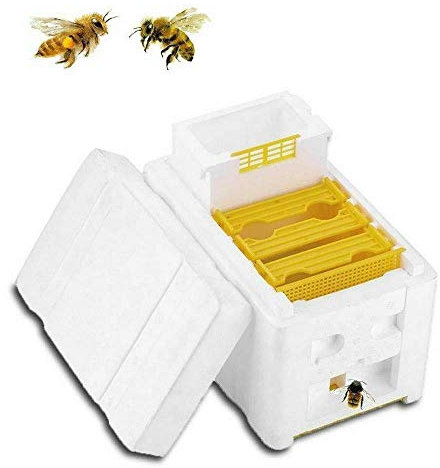 Ausla Harvest Bee Hive Bienenzucht King Box Aufzucht Box, Imkerei Ausrüstung Imkerei King Box, Bestäubungsbox Imkerei Ausrüstung, 24 x 14,8 x 16,5 cm