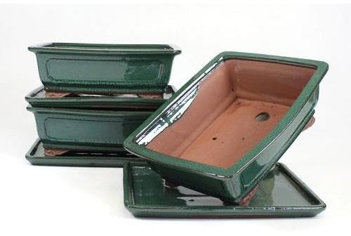 PLANETA HUERTO | Tiesto Bonsái Rectangular 25 cm con Plato Verde – Estilo Clásico y Práctico para Bonsáis Medianos