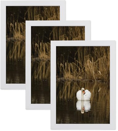 LYYYYX Wooden Picture Frame 5x7IN-13x18cm White Photo Frame with Perspex Set of 3 Certificate Frame Freestanding and Wall Mountable
