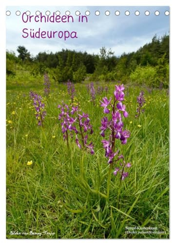 Orchideen in Südeuropa (Tischkalender 2026 DIN A5 hoch), CALVENDO Monatskalender (CALVENDO Natur)