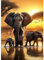 TOSTOG Diamond Painting für Erwachsene,Elefant Familie Diamant Painting Kits Full Drill Bilder 5D DIY Diamant Malerei Set 30x40cm für Wanddekor