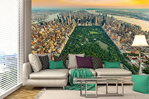 Vlies Fototapete NEW YORK CENTRAL PARK 375 x 250 cm (inkl. Kleister) - Vlies Tapete, Wandtapete, Wandbilder - Tapete für Wohnzimmer Schlafzimmer, Büro, Küche - Montagefertig