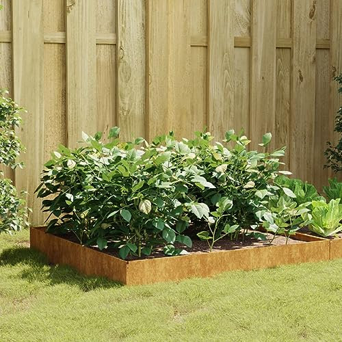 FIRBNUS Jardinière Extérieure 100x100x26 cm Acier Corten Rouillé Résistant aux Intempéries Pot de Jardin Espace suffisant Pot de Fleurs Plantes Légumes Mobilier de Patio Aménager Décorer Balcon