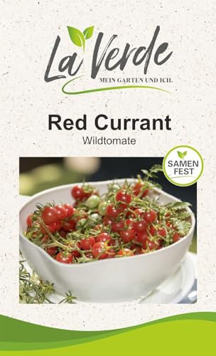 Red Currant Wild-Tomatensamen