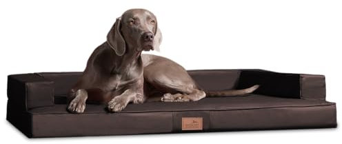 tierlando® Orthopädisches Hundesofa Gibson aus Kunstleder mit Visco-Matratze, kubisches Design, gelenkschonende Hundelounge mit Rutschfester Unterseite Größe: 80x60cm | Farbe: 01 Braun