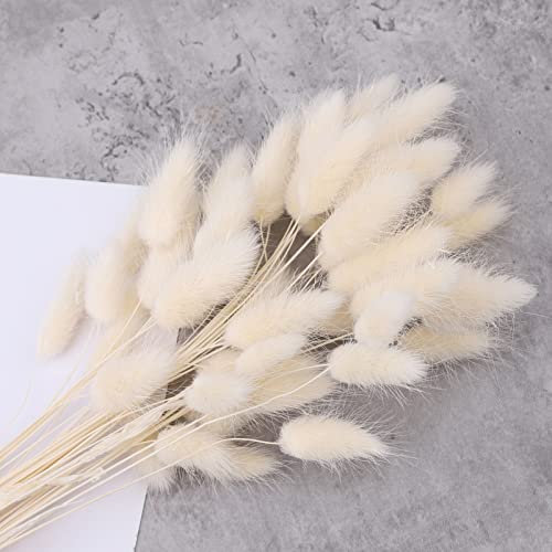 50 Stück 45cm Getrocknete Pampasgras Deko Pampasgras Getrocknet Lagurus Trockenblumen Strauß Dried Flowers, Blumendekoration, für Blumen Arrangements Heim Decor (50Pcs White)
