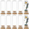 SUNNYCLUE 10 pcs Mini Cloche Dôme en Verre 30x80 mm Mini Pots en Verre avec Joint en Verre Petit Dôme D'Affichage en Verre avec Base en Bambou Bouteilles en Verre Cloche Cloche Pot pour le Stockage de