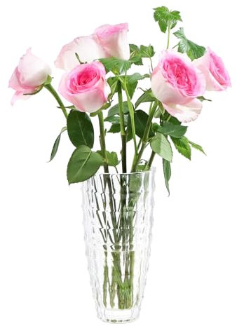 ASSRECT Blumenvase Glas 22cm Glasvase für Tischdeko Klarglasvase Moderne Dekorative Vasen für Home Office Hochzeit Dekor Geschenk