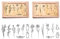 16 Stück Holzstempel Set Vintage Paper Poetry Stempel Holzstempel Motiv Pflanzen Stempel Vintage Holzstempel Holzstempel Set Lavendel für Scrapbooks Journals Karten Einladungen Tagebücher Crafts