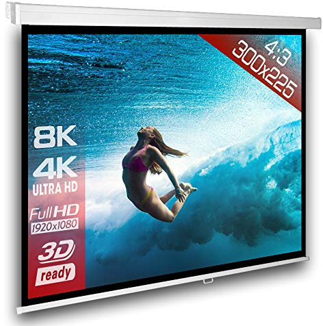 ScreenLux Écran de Projection Manuel 305 x 245 (299 x 224) cm 4:3 - Longueur du boîtier 320 cm/1,2 Gain/HDTV/3D/4K/Écran de Projection pour Home cinéma & présentations/Montage Plafond ou au Mur