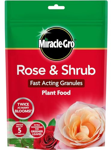 AMK® Miracle Gro Rose and Shrub Plant Food 750gm Pouch Continuous Release Fertiliser Feed for Flowers Health Growth Blooms