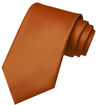 RBOCOTT Rust Tie Mens Necktie for Business and Wedding Party(28)