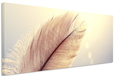 Paul Sinus Art Panoramabild 150x50cm Naturfotografie – Feder vor ombre blauem Grund auf Leinwand exklusives Wandbild moderne Fotografie für ihre Wand in vielen Größen