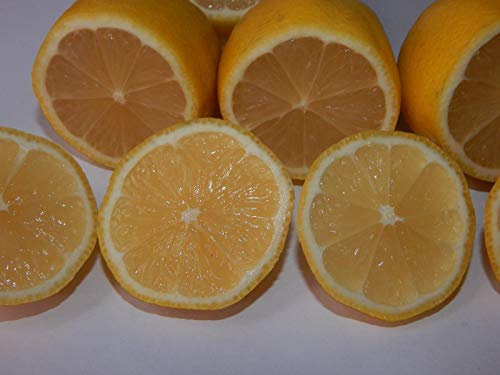 15 PC valle Zitronenbaum Indoor Outdoor Fruit Seeds Liebe Garde
