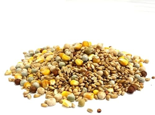 Mixed Pigeon Corn 5kg Premium Quality Bird Food