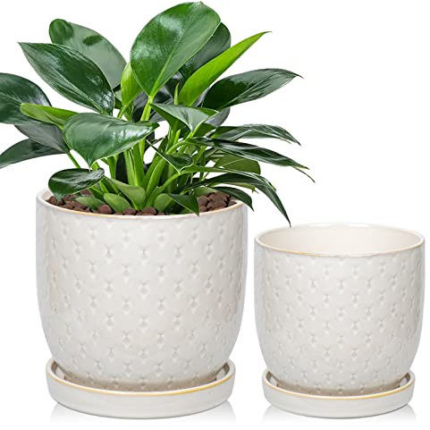 Set di 2 vasi per piante in ceramica da interni 13cm/16cm fioriera in ceramica bianca con fori di drenaggio e piattini vassoio vasi da fiori decorativi con perline per piante grasse da casa di cactus