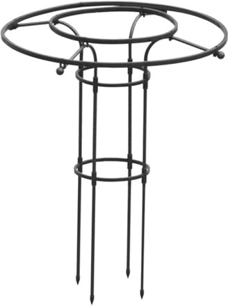 Rankhilfe Metall Rankgitter 70×90cm - Rostfreie Metall Rankhilfes - Durable Spalier Rankgitter - Blauregen Schirm Rankhilfe Rosen - Tomatenkäfig Pflanzenstütze Obelisk Für Clematis Gurken Rosen